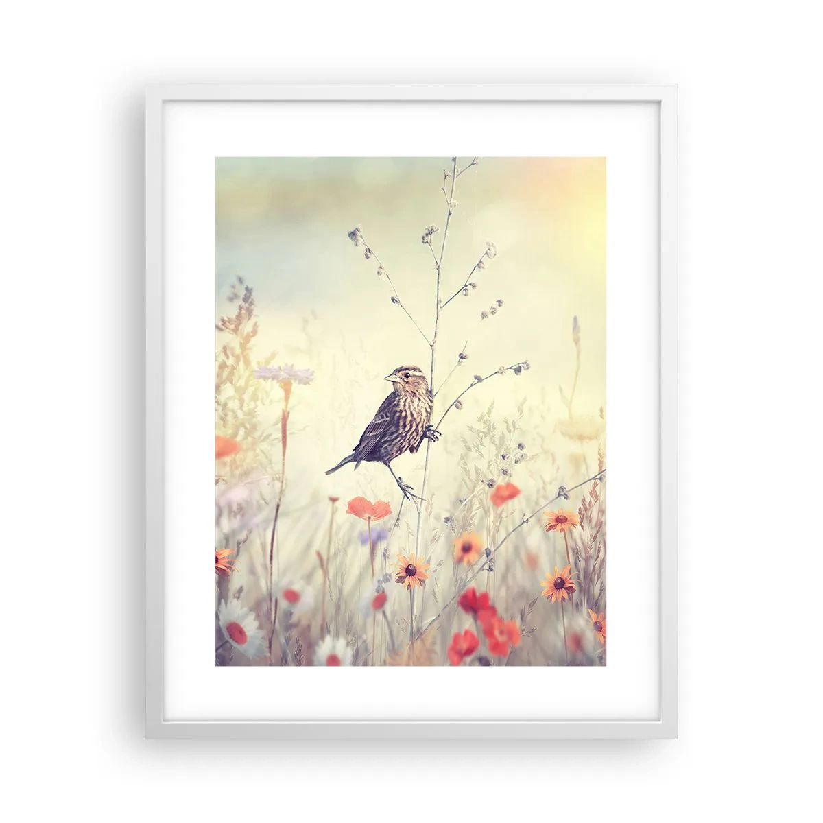 Poster in einem weißen Rahmen - Vogelporträt mit einer Wiese im Hintergrund - 40x50 cm