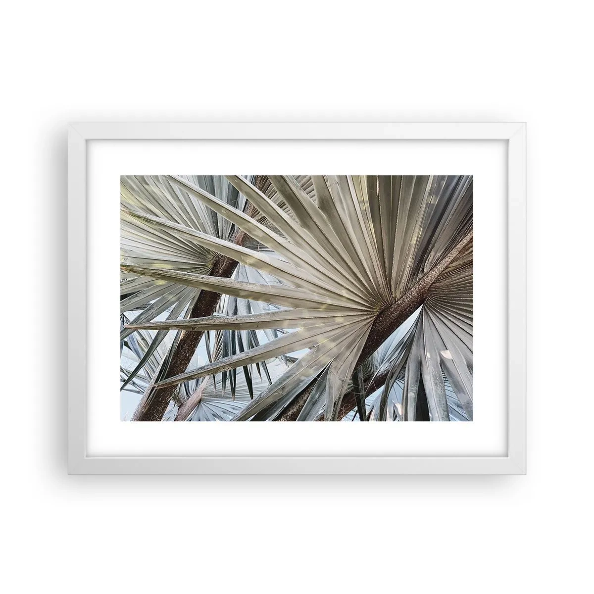 Poster in einem weißen Rahmen - Fans in den Tropen - 40x30 cm