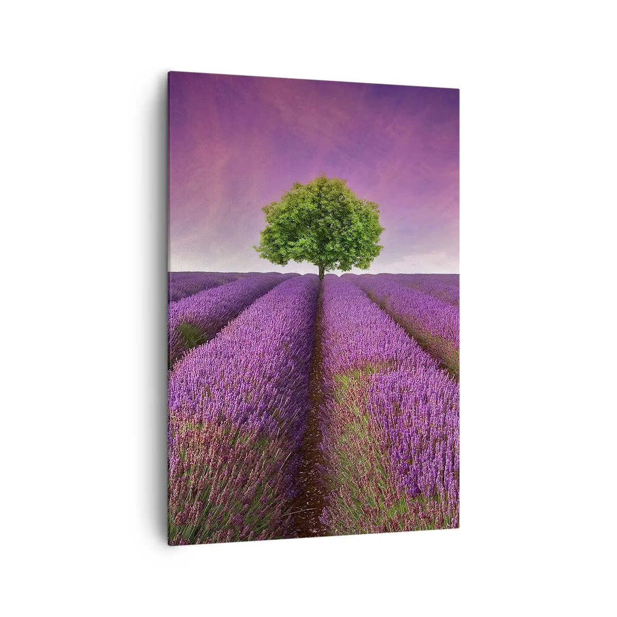 Bild auf Leinwand - Leinwandbild - Ein Lavendelfeld mit einem einsamen Baum und einem violetten Himmel - 70x100cm - Auf Lavendelfeldern - Moderne Wanddekoration für Wohnzimmer und Schlafzimmer ARTTOR
