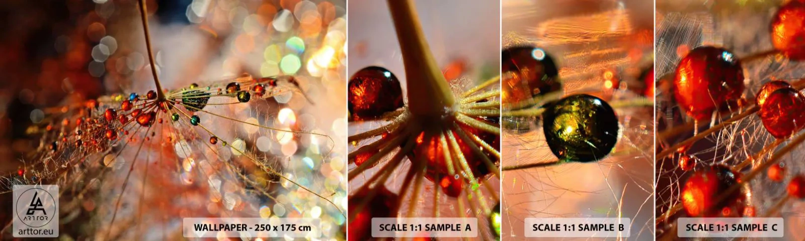 Fototapetenmuster Standard Eco - Auf einem Spinnenfaden aufgefädelt - Abstraktion, Spinnennetz, Stück - 100x30 cm