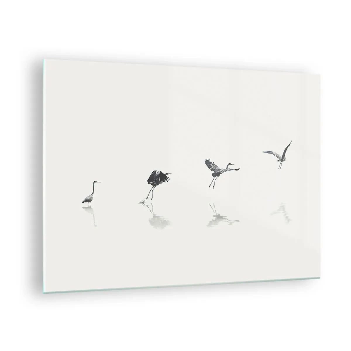 Glasbild - Bild auf glas - Silhouetten von vier Vögeln, die sich über dem Wasser bewegen - 70x50cm - Vier einfache Schritte - Moderne Wanddekoration für Wohnzimmer und Schlafzimmer ARTTOR