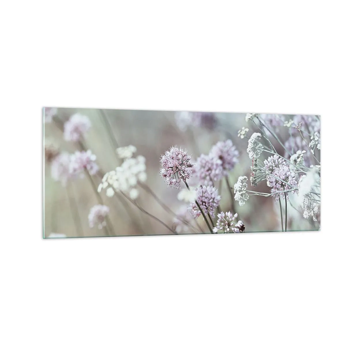 Glasbild - Bild auf glas - Süße filigrane Kräuter - 100x40 cm