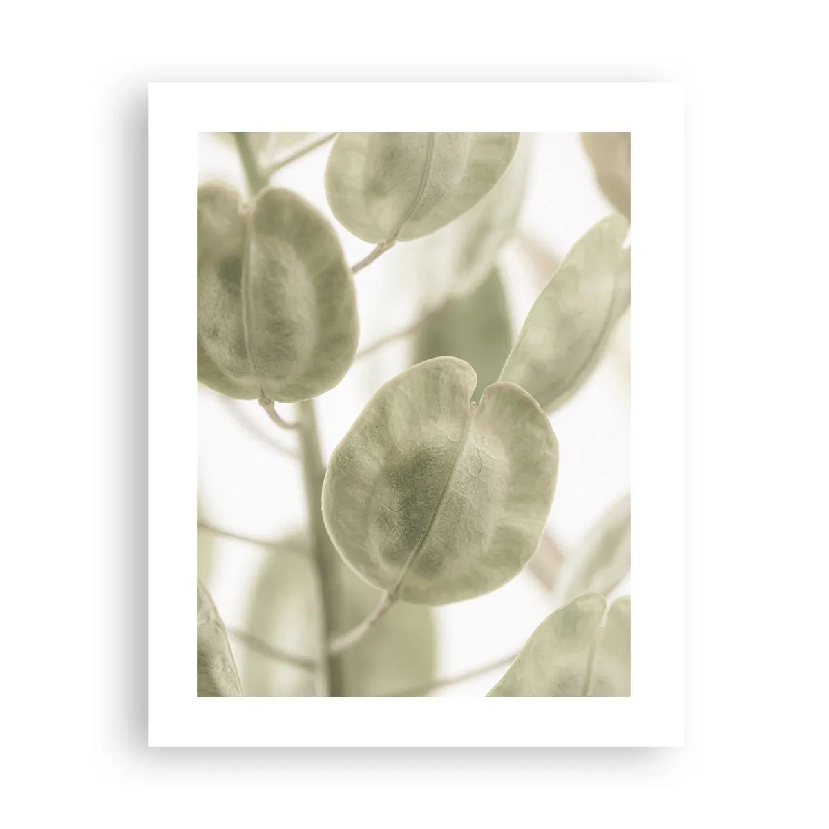 Poster - Am Anfang waren Blätter... - 40x50 cm