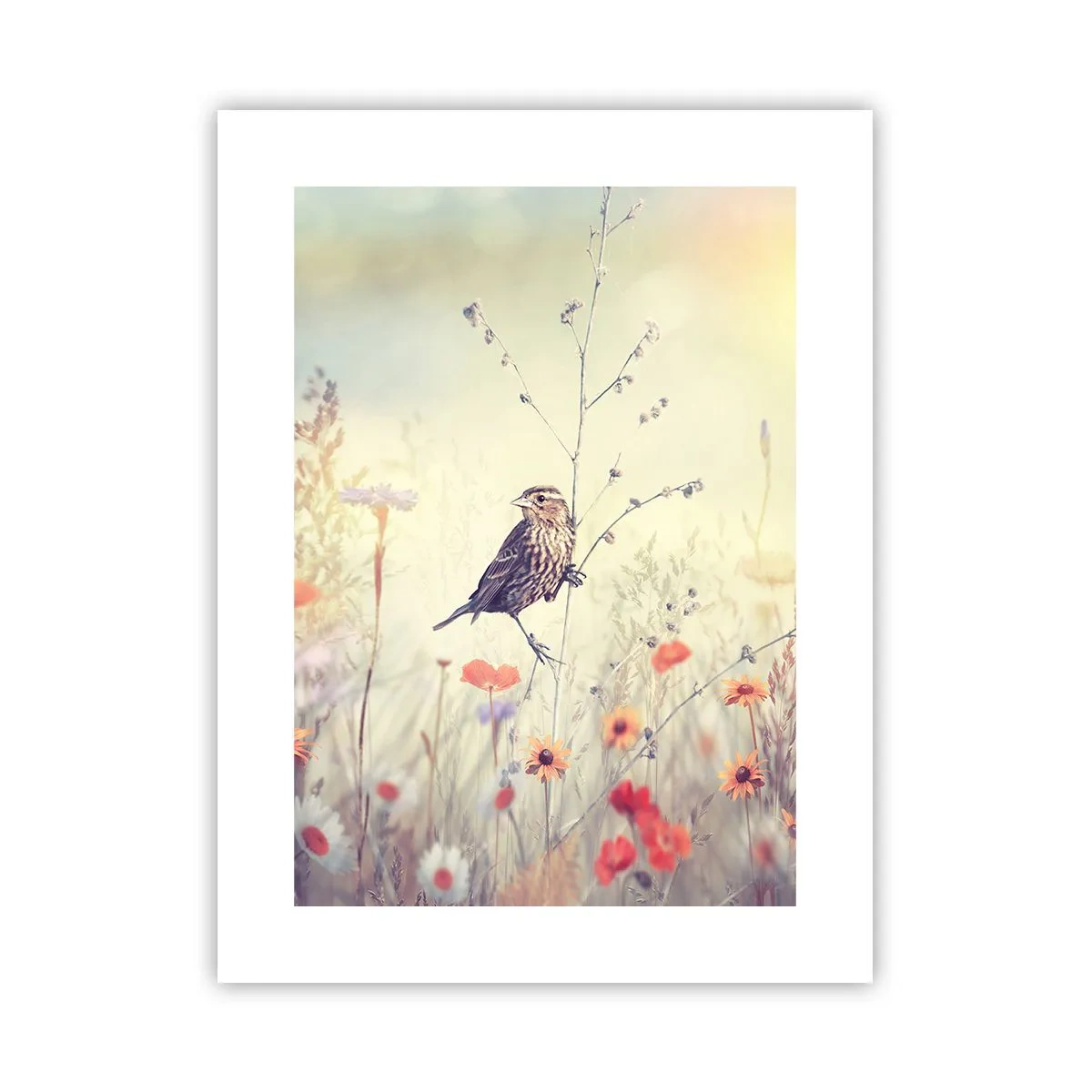 Poster - Vogelporträt mit einer Wiese im Hintergrund - 30x40 cm