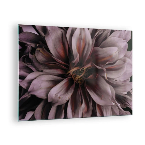 Glasbild - Bild auf glas - Nahaufnahme einer dunklen Blume mit violetten und burgunderfarbenen Blütenblättern - 70x50cm - Ein Blumenherz - Moderne Wanddekoration für Wohnzimmer und Schlafzimmer ARTTOR