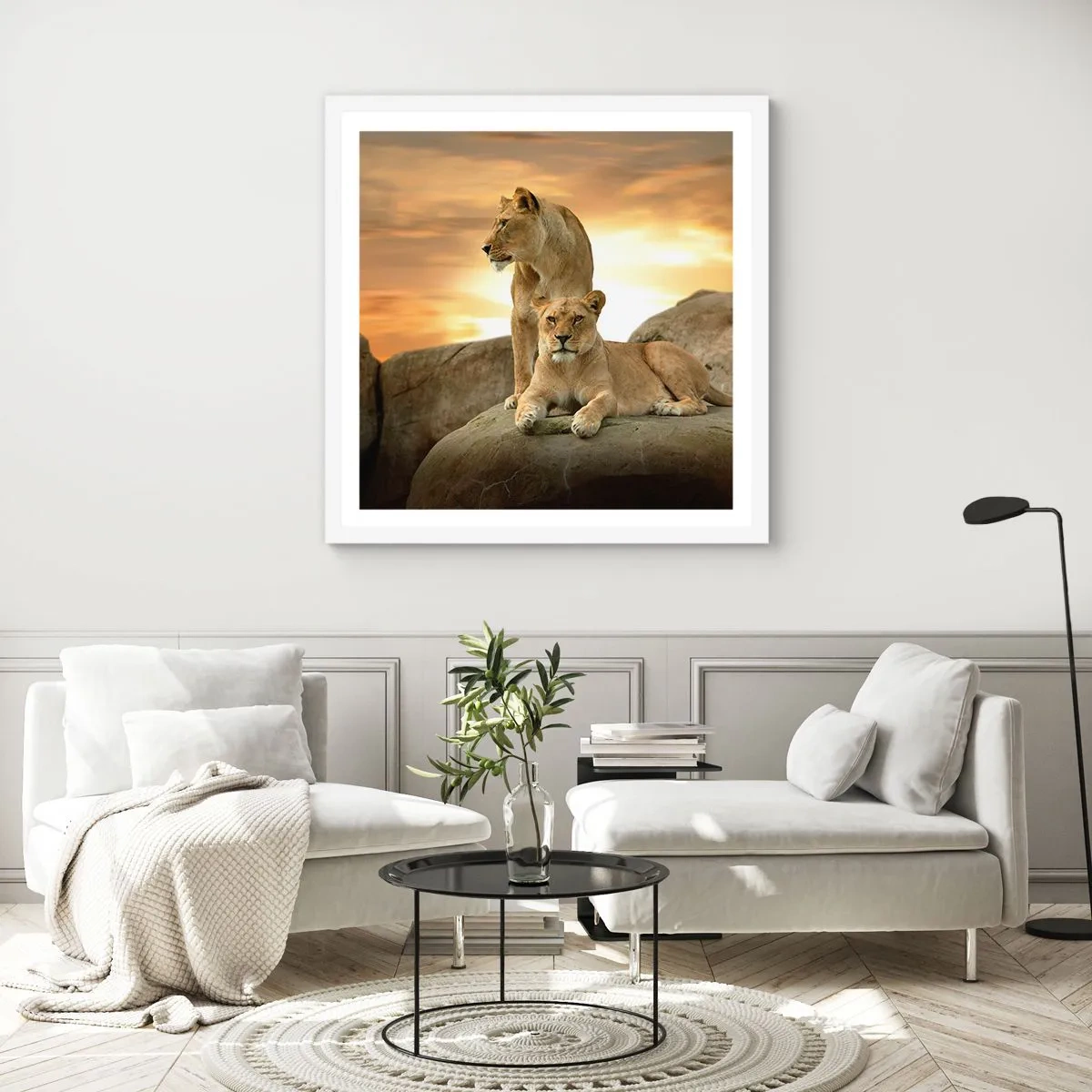 Poster in einem weißen Rahmen - Königliche Majestät - 50x50 cm