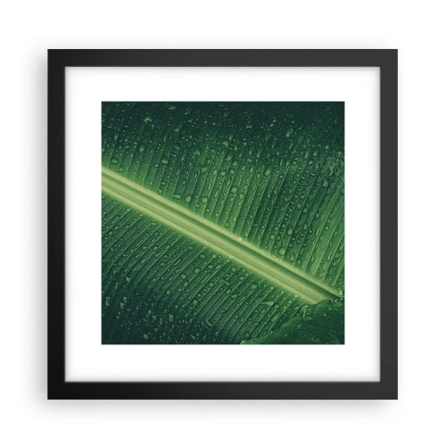 Poster in einem schwarzem Rahmen - Die Struktur des Grüns - 30x30 cm