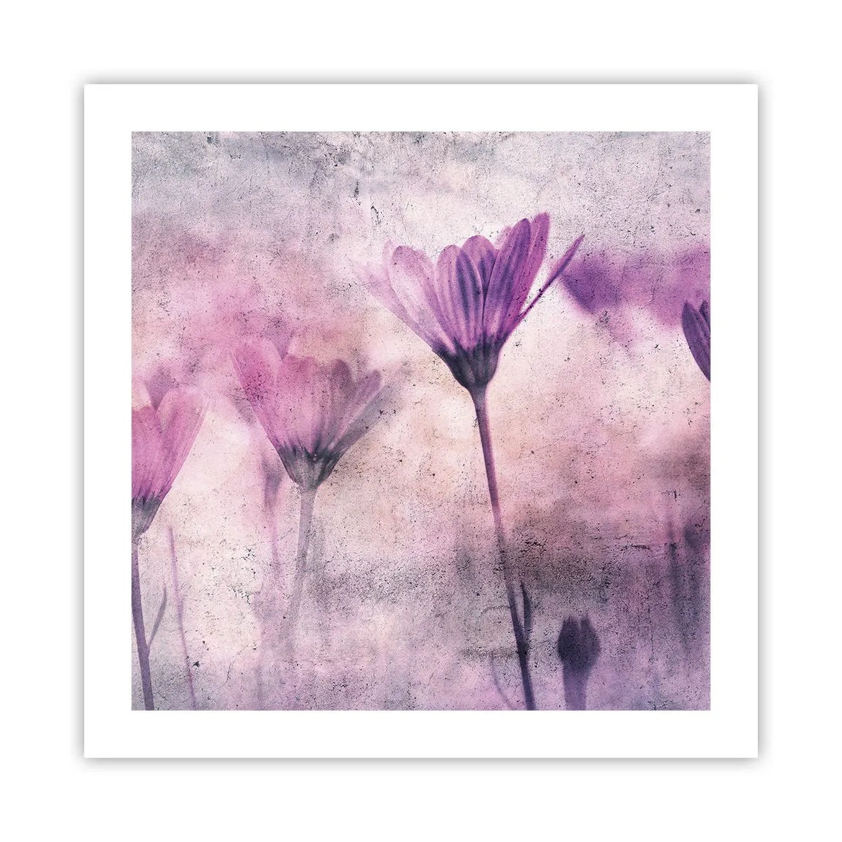 Poster - Ein Blumentraum - 50x50 cm