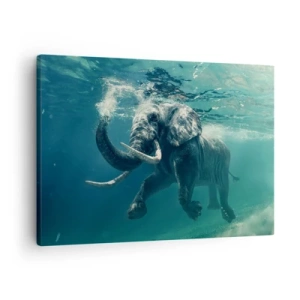 Bild auf Leinwand - Leinwandbild - Ein Elefant schwimmt unter Wasser in den türkisfarbenen Tiefen - 70x50cm - Jeder schwimmt gerne - Moderne Wanddekoration für Wohnzimmer und Schlafzimmer ARTTOR