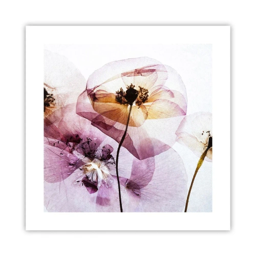 Poster - Transparente Körperblumen - 40x40 cm