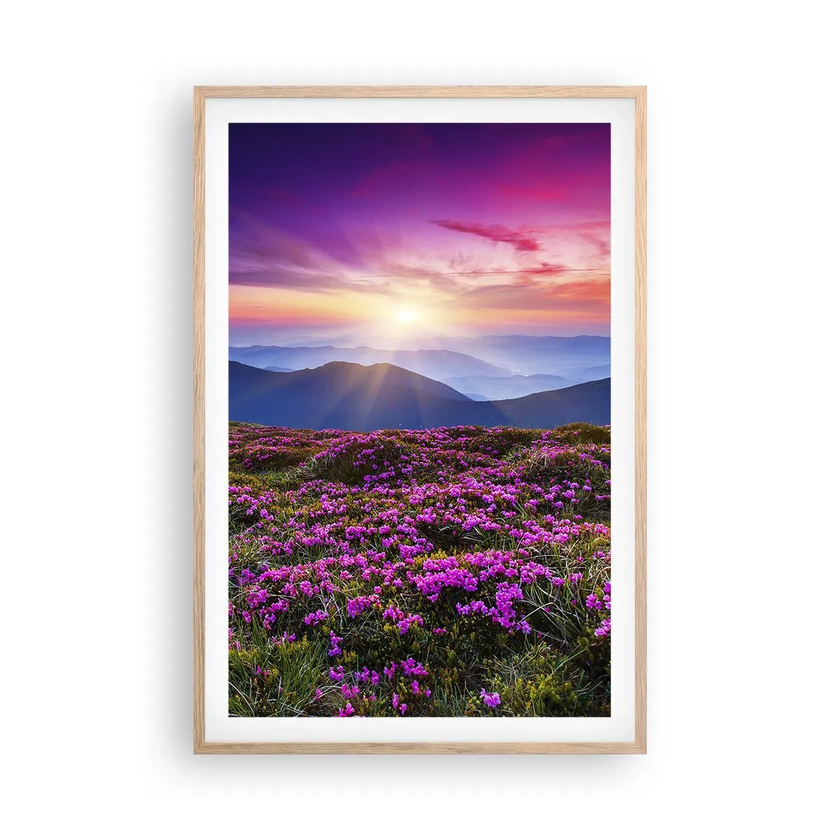 Poster in einem Rahmen aus heller Eiche - Kräuter dufteten nach frischen Trauben von den Feldern - 61x91 cm