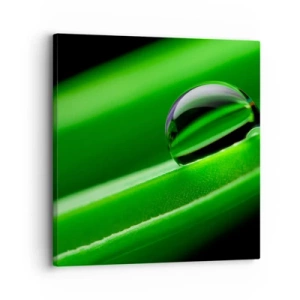 Bild auf Leinwand - Leinwandbild - Leben hautnah - 30x30 cm