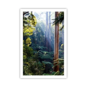 Poster - Ein Waldmärchen - 61x91 cm