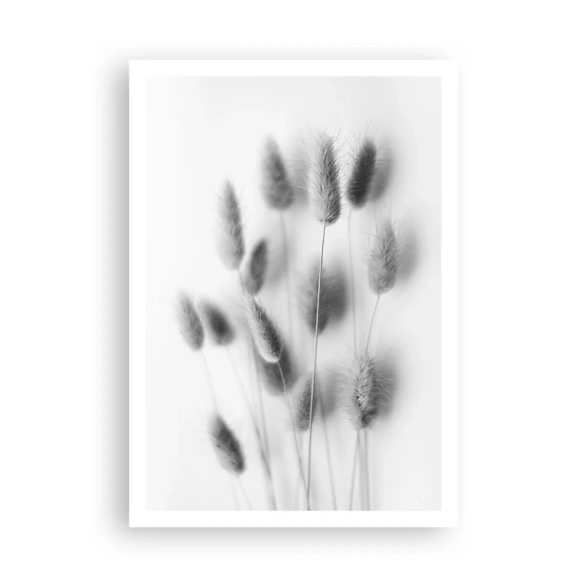 Poster - Eure flauschige Grashoheit - 70x100 cm