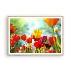 Poster in einem Rahmen aus heller Eiche - Alle Farben der Sonne - 100x70 cm