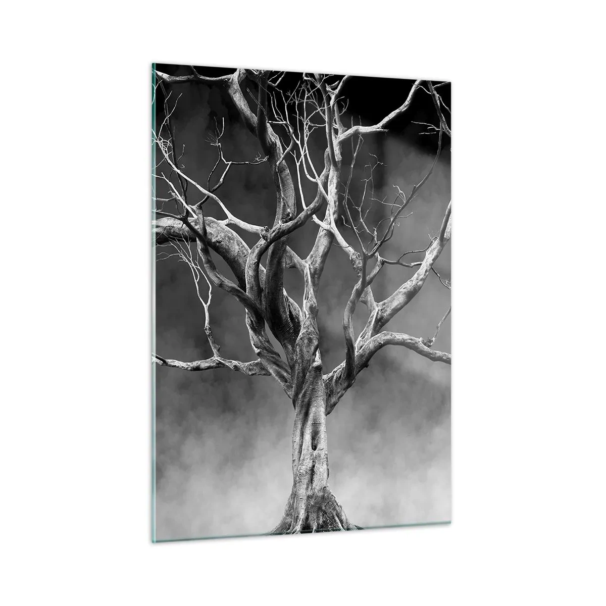 Glasbild - Bild auf glas - Schwarzer Baum gegen den Nebel - 50x70cm - Ursprünglich und heilig - Moderne Wanddekoration für Wohnzimmer und Schlafzimmer ARTTOR