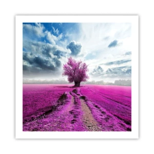 Poster - Heide - Wildnis - 60x60 cm