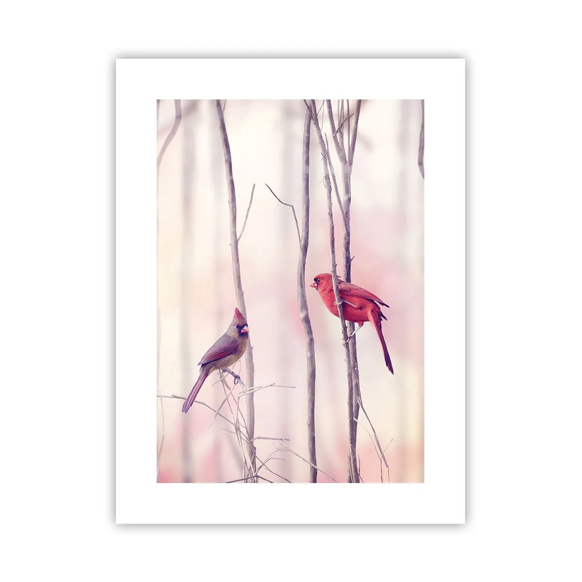 Poster - Geschichte vom rosa Wald - 30x40 cm