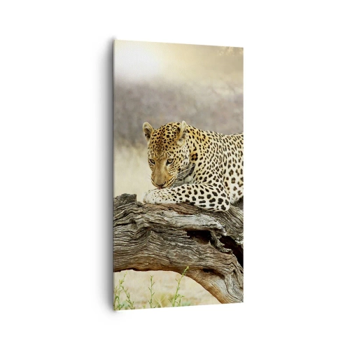 Bild auf Leinwand - Leinwandbild - Ich gehe meine eigenen Wege - 65x120 cm