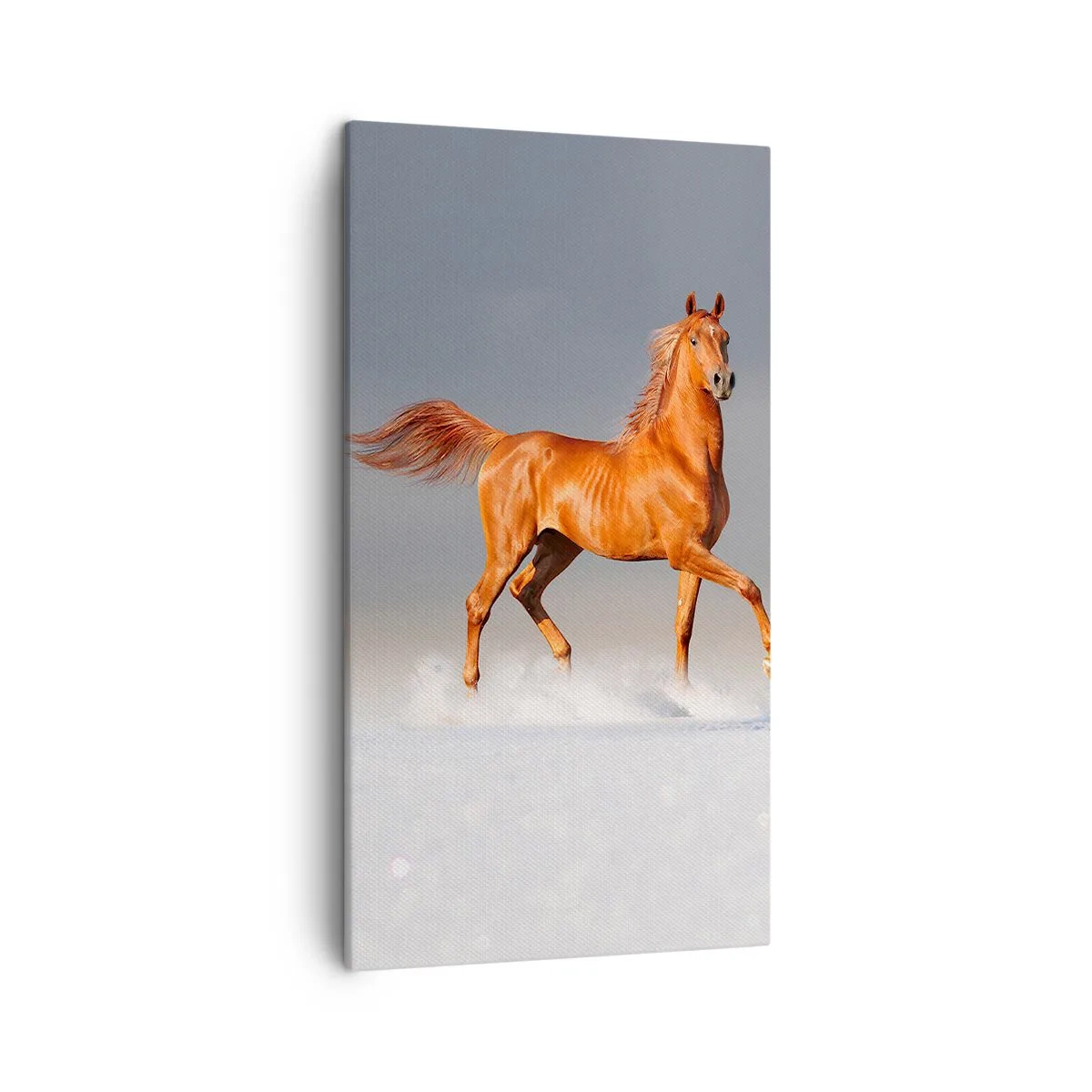 Bild auf Leinwand - Leinwandbild - Tanzende Anmut - 45x80 cm