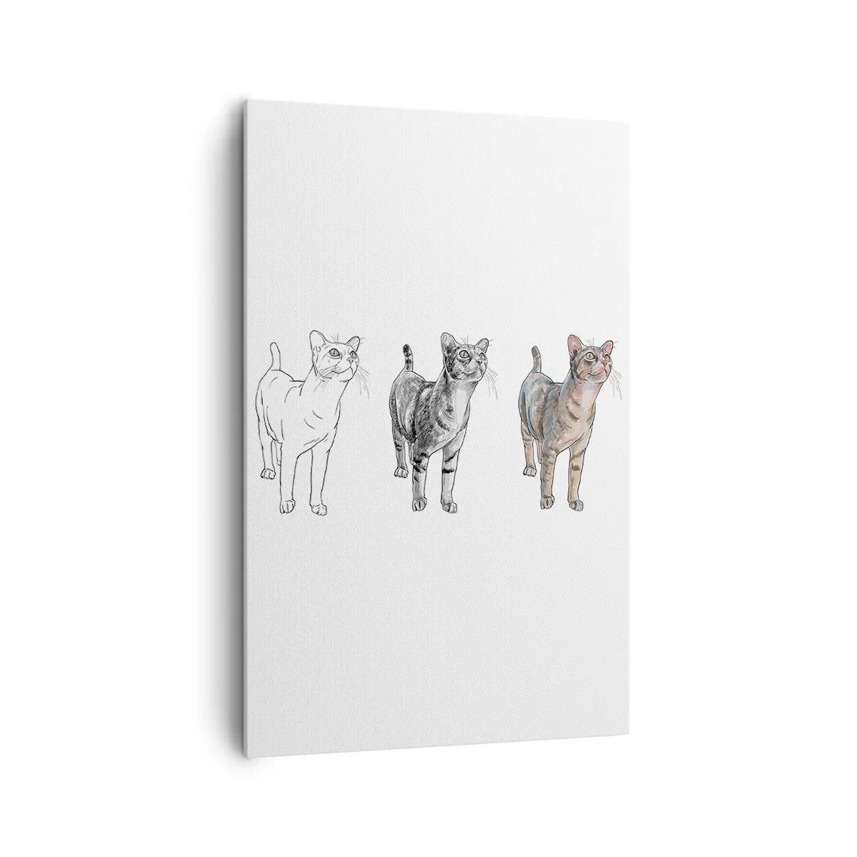 Bild auf Leinwand - Leinwandbild - Die Entwicklung einer Katzenzeichnung von der Skizze zur farbigen Form - 80x120cm - Zeichenunterricht - Moderne Wanddekoration für Wohnzimmer und Schlafzimmer ARTTOR
