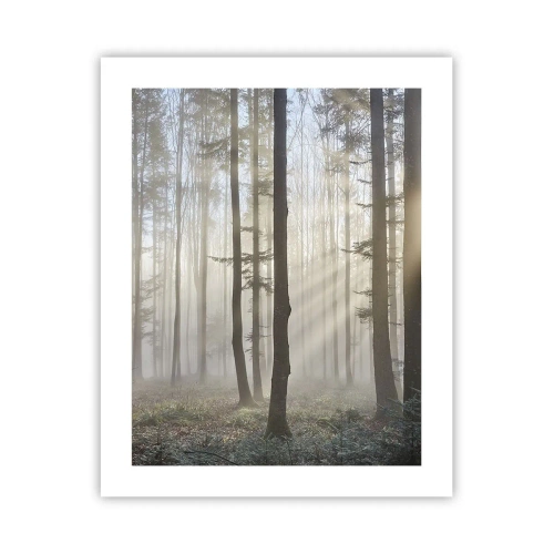 Poster - Der Nebel ist auch aufgewacht - 40x50 cm