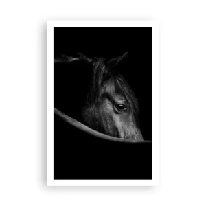 Poster - Schwarzer Prinz - 61x91 cm