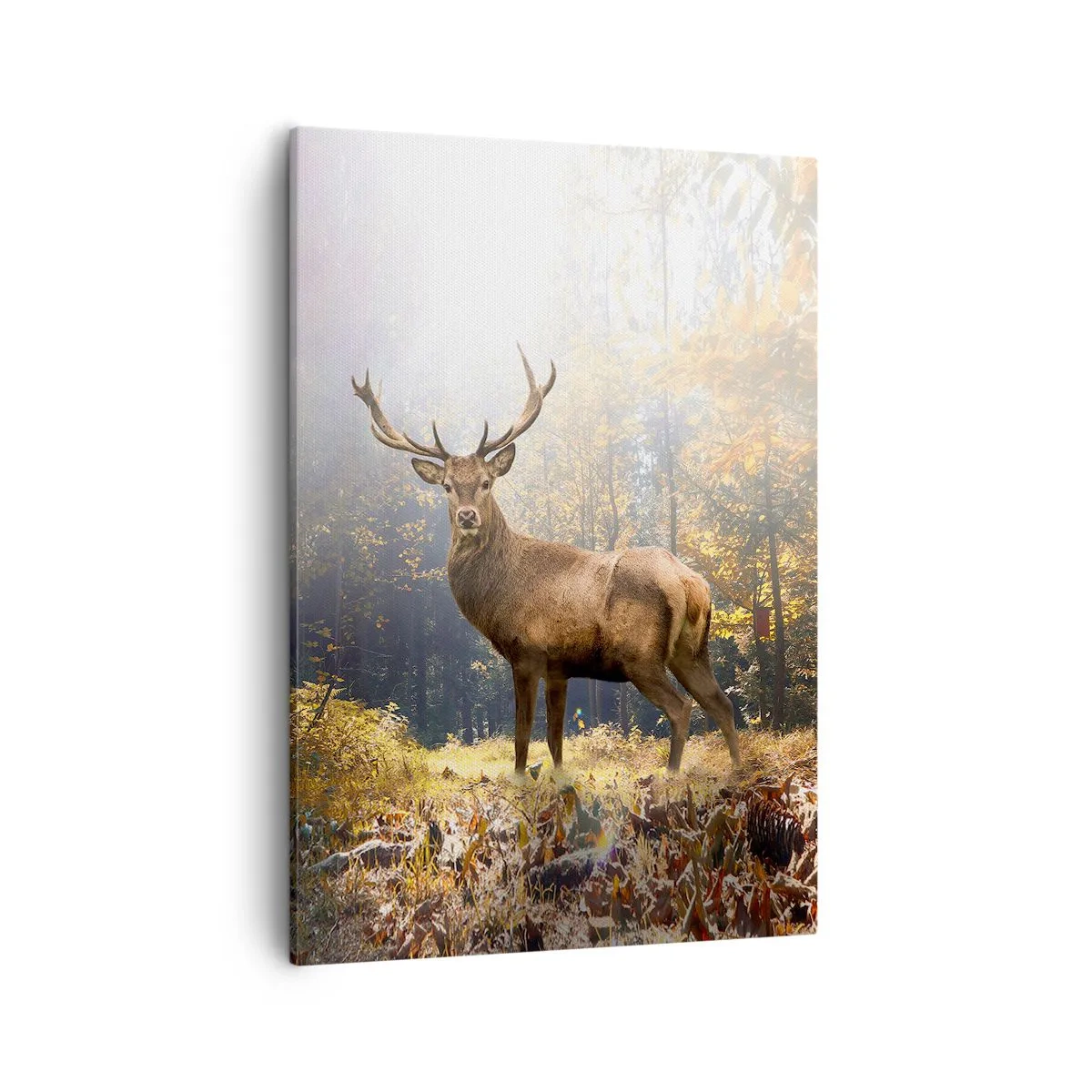 Bild auf Leinwand - Leinwandbild - Hirsch im herbstlichen Wald mit Sonnenstrahlen - 50x70cm - In voller Majestät - Moderne Wanddekoration für Wohnzimmer und Schlafzimmer ARTTOR