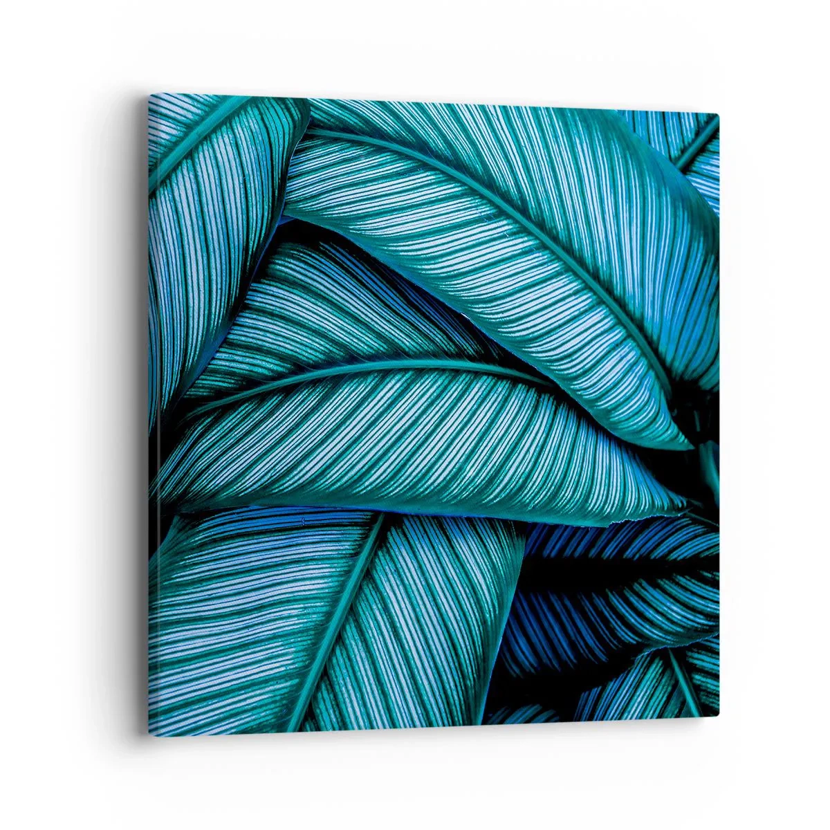 Bild auf Leinwand - Leinwandbild - Lebenslinien - 40x40 cm