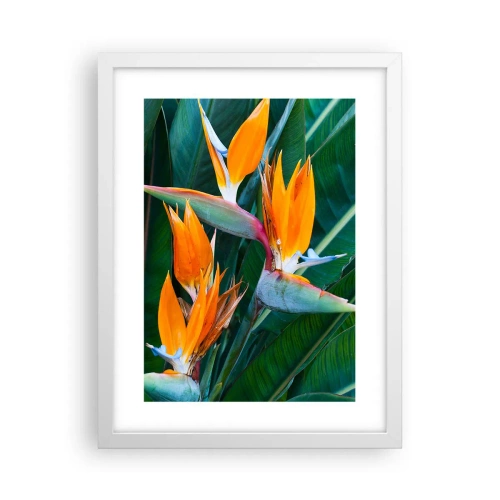 Poster in einem weißen Rahmen - Ist es eine Blume oder ist es ein Vogel? - 30x40 cm