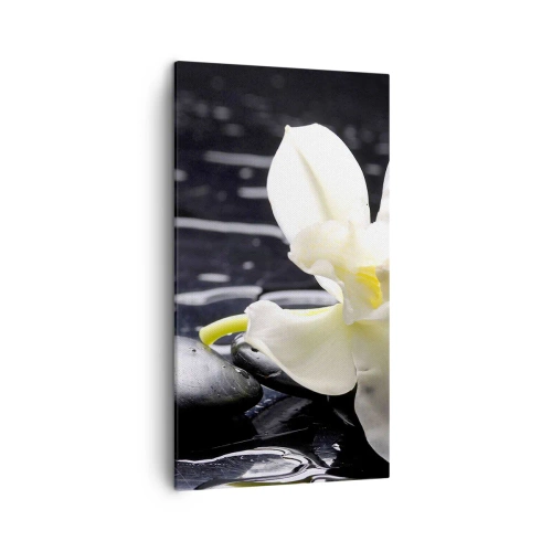 Bild auf Leinwand - Leinwandbild - Eine Studie in Schwarzweiß - 45x80 cm