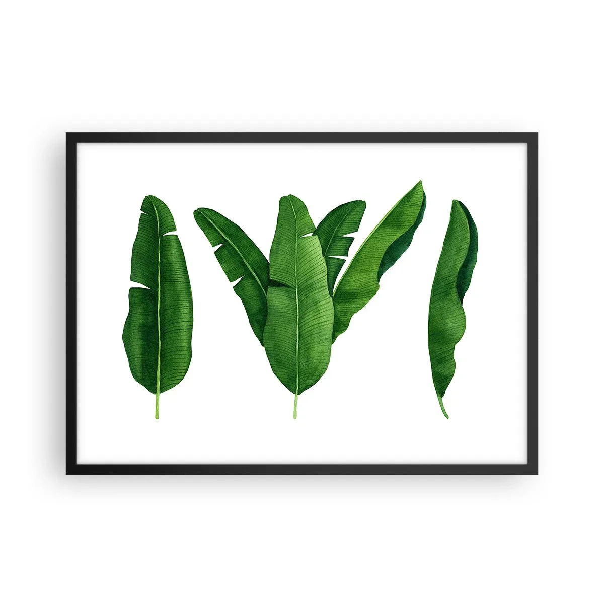 Poster in einem schwarzem Rahmen - Drei Bananenblätter in künstlerischer Umsetzung - 70x50cm - Grüne Symmetrie - Moderne Wanddekoration für Wohnzimmer und Schlafzimmer ARTTOR