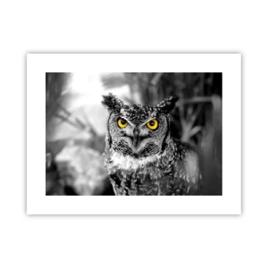 Poster - Nichts wird sich verstecken - 40x30 cm