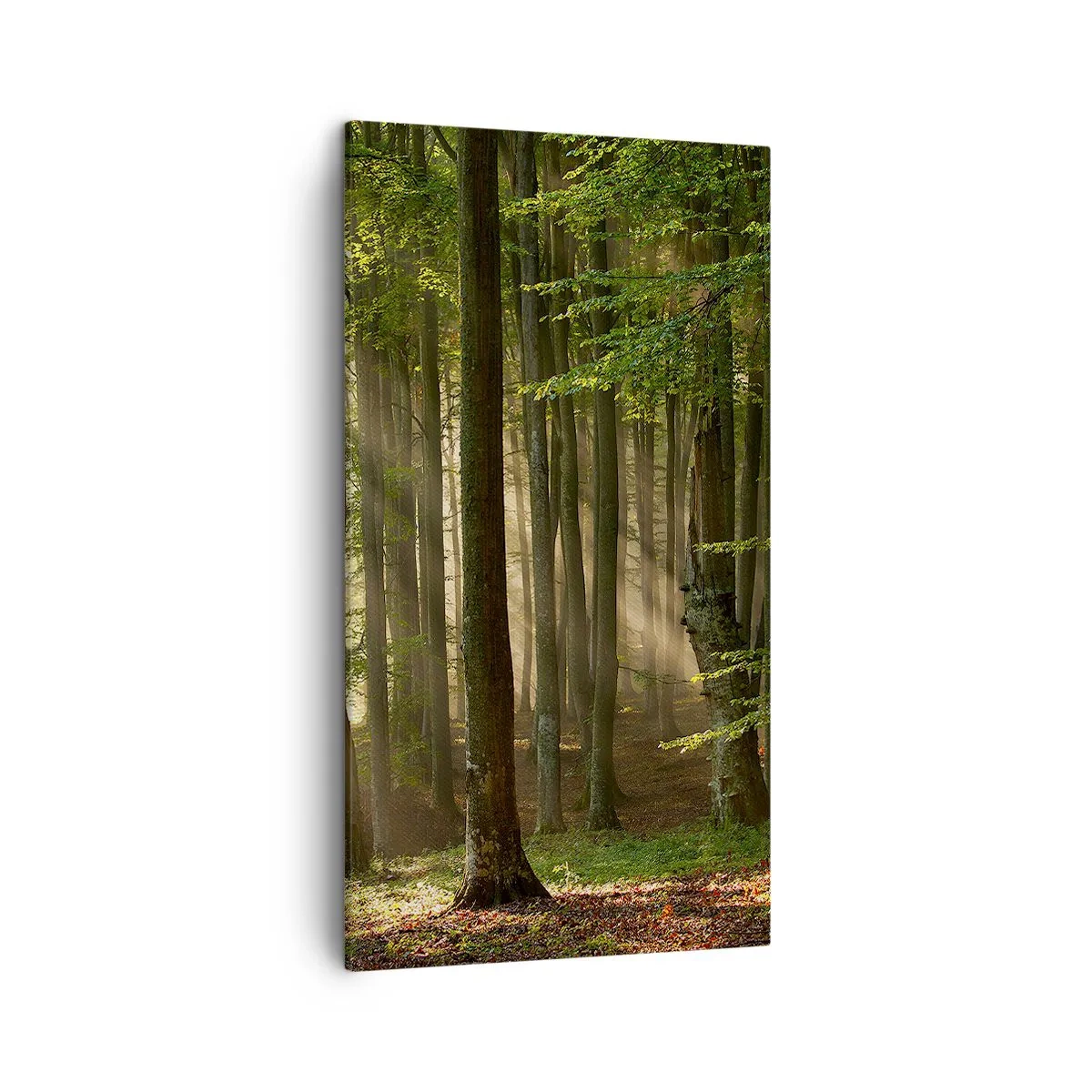 Bild auf Leinwand - Leinwandbild - Strahlend an einem Frühlingsmorgen - 45x80 cm