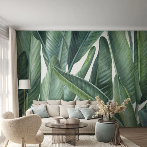 Fototapete Standard Eco - An und für sich Grün - Grüne Blätter, Tropische Pflanze, Natur - 400x280 cm