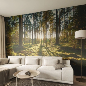 Fototapete Premium Sand - Sonniger Wald mit grünem Moos und langen Baumschatten - 100x70cm - … Hinter den sieben Wäldern - Moderne Wanddekoration für Wohnzimmer und Schlafzimmer ARTTOR