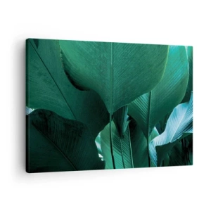 Bild auf Leinwand - Leinwandbild - Grüne Blätter in minimalistischer Komposition - 70x50cm - Dem Licht zugewandt - Moderne Wanddekoration für Wohnzimmer und Schlafzimmer ARTTOR