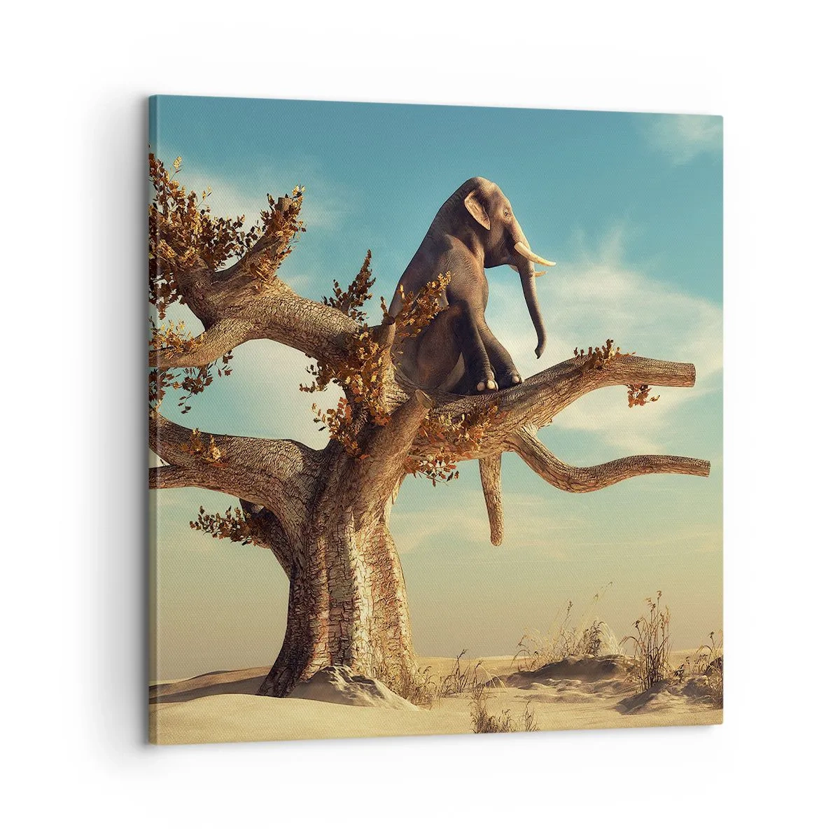 Bild auf Leinwand - Leinwandbild - Ein neuer Standpunkt - 60x60 cm