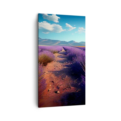Bild auf Leinwand - Leinwandbild - Duftende Felder - 45x80 cm