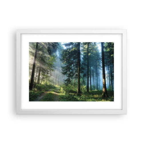 Poster in einem weißen Rahmen - Strahlend am Morgen - 40x30 cm