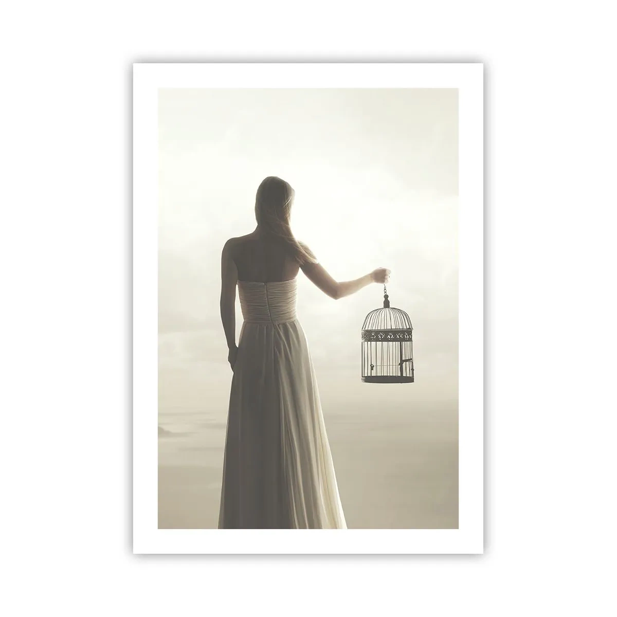 Poster - Eine Frau mit einem Käfig vor einer nebligen Landschaft - 50x70cm - Sei frei - Moderne Wanddekoration für Wohnzimmer und Schlafzimmer ARTTOR