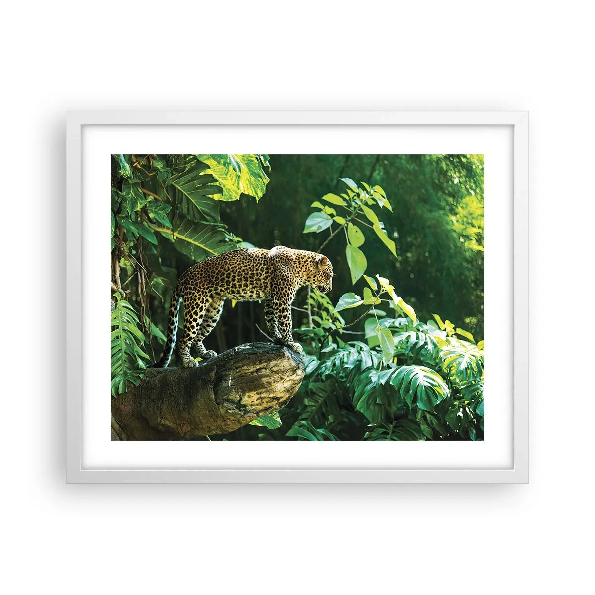 Poster in einem weißen Rahmen - Auf die Jagd? - 50x40 cm