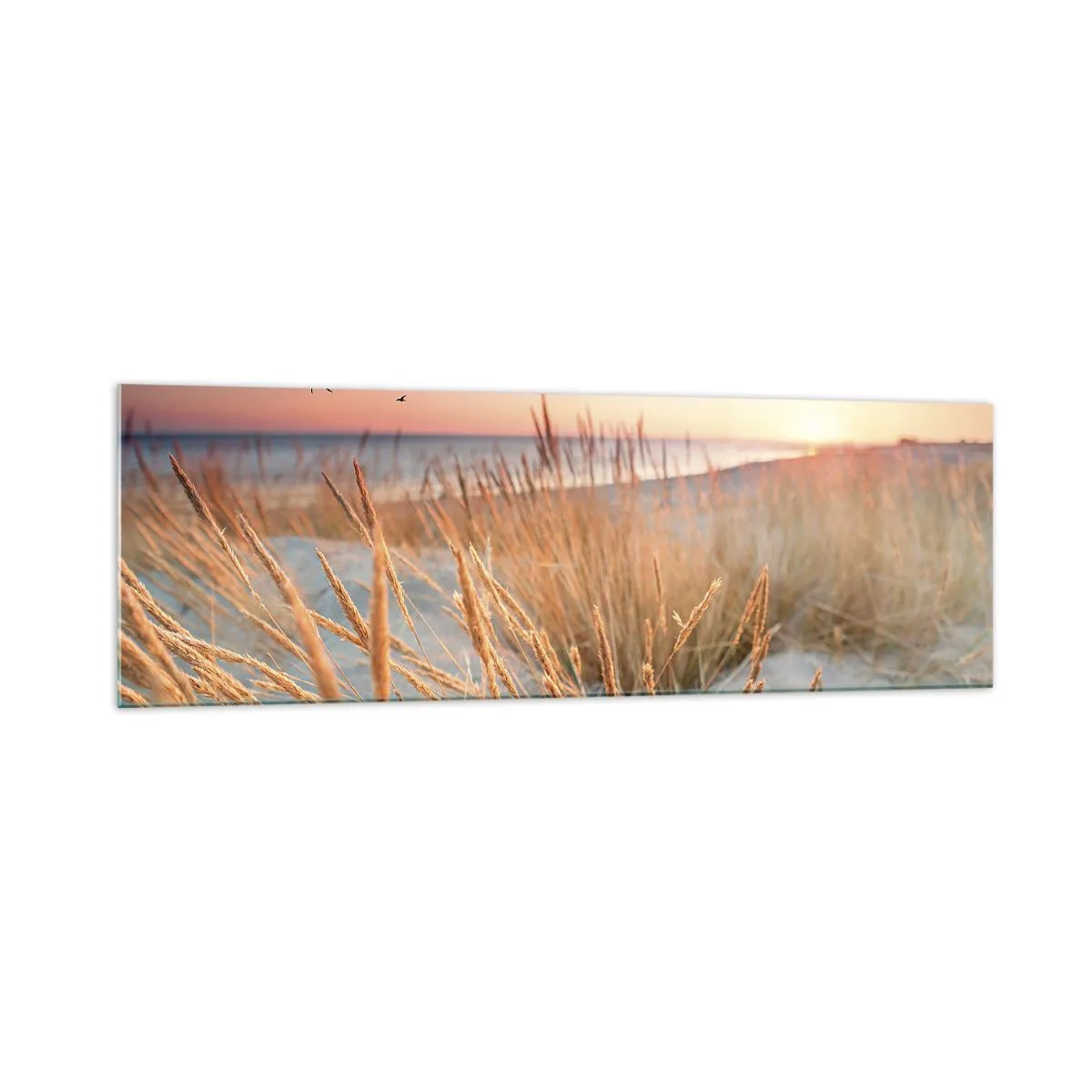 Glasbild - Bild auf glas - Sonnenuntergangsstrand mit hohem Gras - 160x50cm - Das baltische Wiegenlied - Moderne Wanddekoration für Wohnzimmer und Schlafzimmer ARTTOR