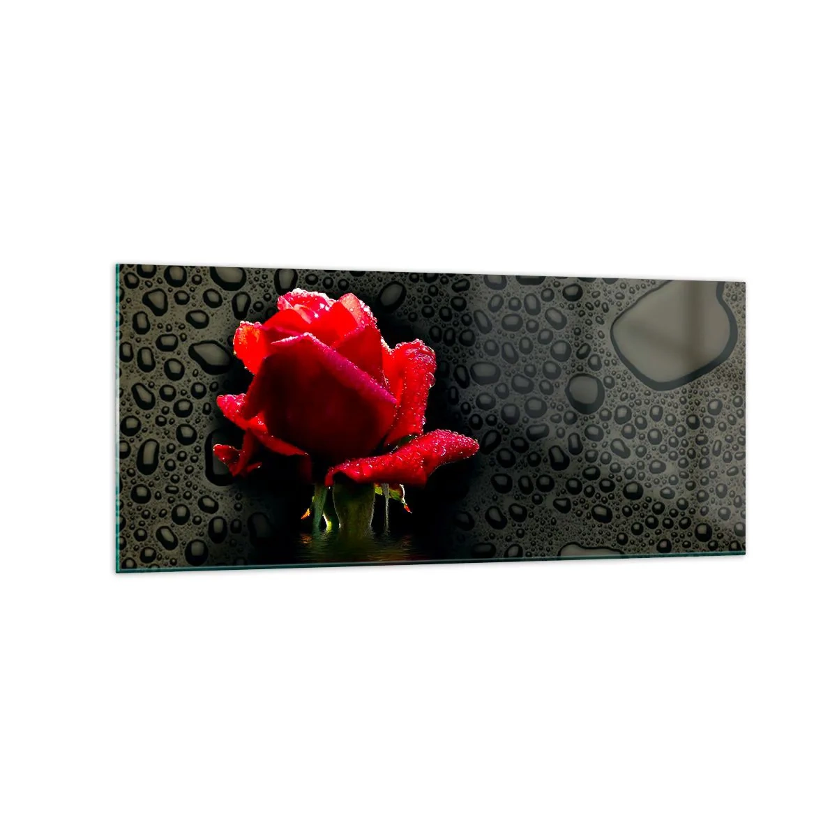Glasbild - Bild auf glas - Rote Rose mit Wassertropfen auf dunklem Hintergrund - 120x50cm - rot und Schwarz - Moderne Wanddekoration für Wohnzimmer und Schlafzimmer ARTTOR