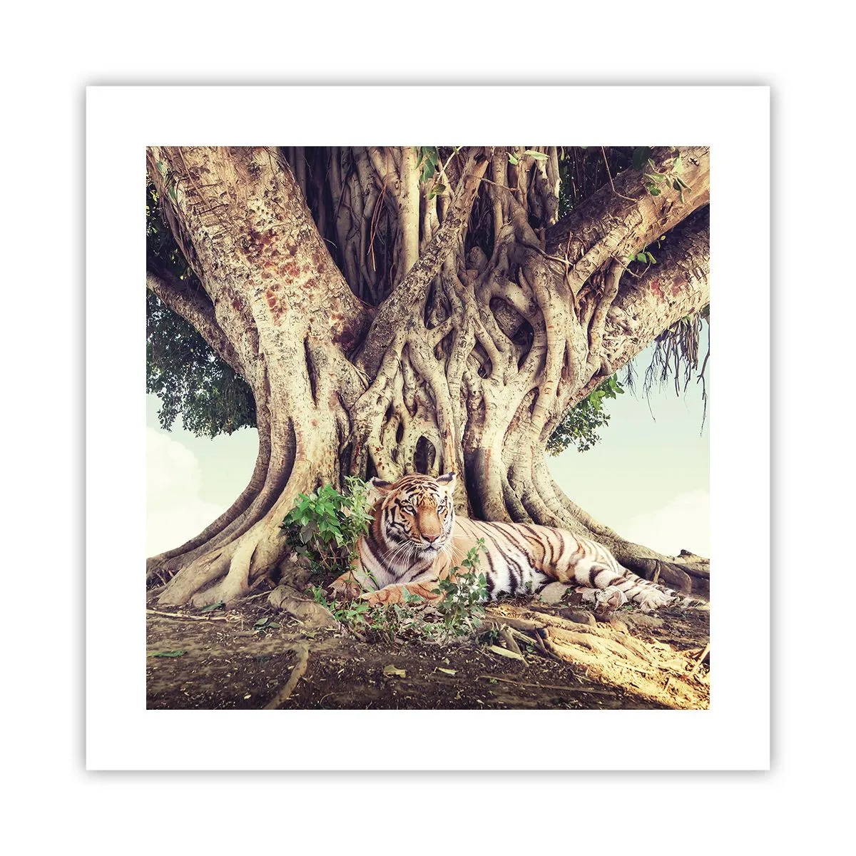 Poster - Blick aus dem Buch Genesis - 40x40 cm