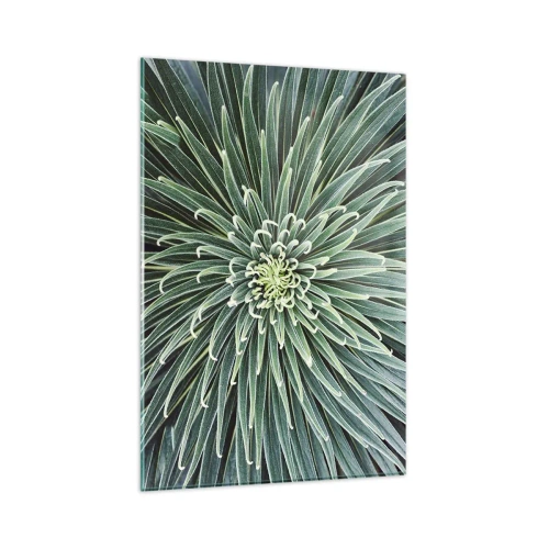 Glasbild - Bild auf glas - Symmetrische Anordnung grüner Blätter, die einem Stern ähneln - 80x120cm - Ein Star ist geboren - Moderne Wanddekoration für Wohnzimmer und Schlafzimmer ARTTOR