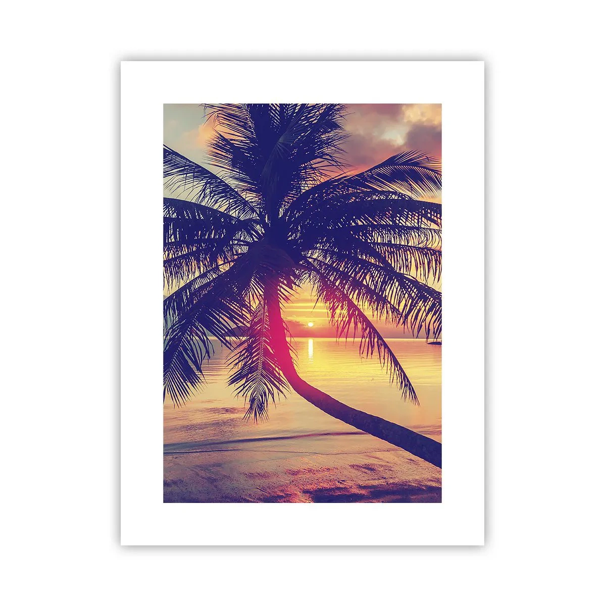Poster - Abend unter Palmen - 30x40 cm