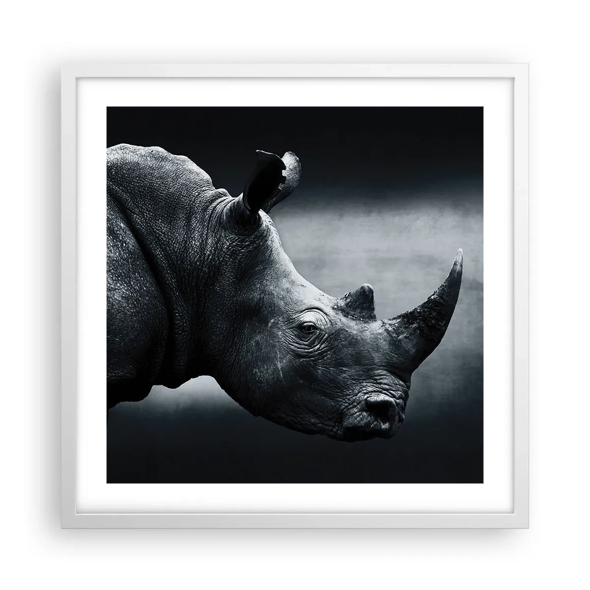 Poster in einem weißen Rahmen - Richtiges Profil - 50x50 cm