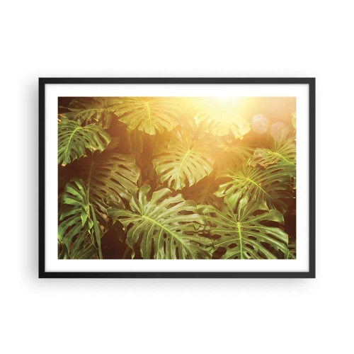 Poster in einem schwarzem Rahmen - Monstera-Blätter im Sonnenlicht vor einem natürlichen Hintergrund - 70x50cm - Ins Grüne tretren... - Moderne Wanddekoration für Wohnzimmer und Schlafzimmer ARTTOR