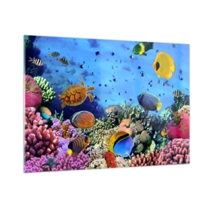 Glasbild - Bild auf glas - Bunte Fische und eine Meeresschildkröte vor einem Korallenriff - 100x70cm - Und was wissen wir über das Leben ... - Moderne Wanddekoration für Wohnzimmer und Schlafzimmer ARTTOR